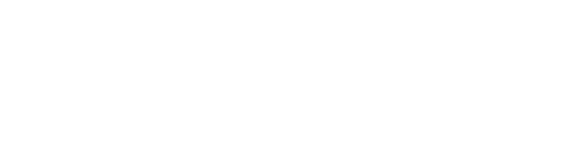 MaxiVallas Logo